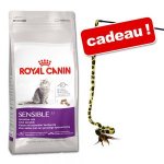 Croquettes Royal Canin 3,5/4 kg + Canne à pêche offerte ! Sensible 33 (4 kg)